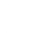Number of Techies
