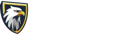 Falcon Logo