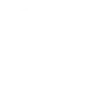Enterprise-Grade Security