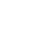 Enterprise Software & AI Integration