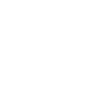 Development & System Integration