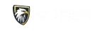 Falcon
