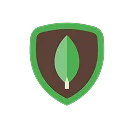 MongoDB