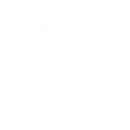 Fitness & Wellness