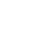 Strong Digital Commerce Ecosystem