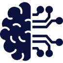 Custom BI Development