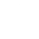 Foundation Models