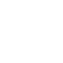 Government Software Development
