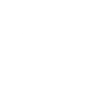 Startup Software Development