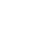 AI Development & Integration