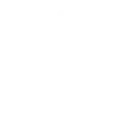 Industry Expertise