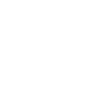 Local Payment Integration