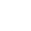 MVP Software Development