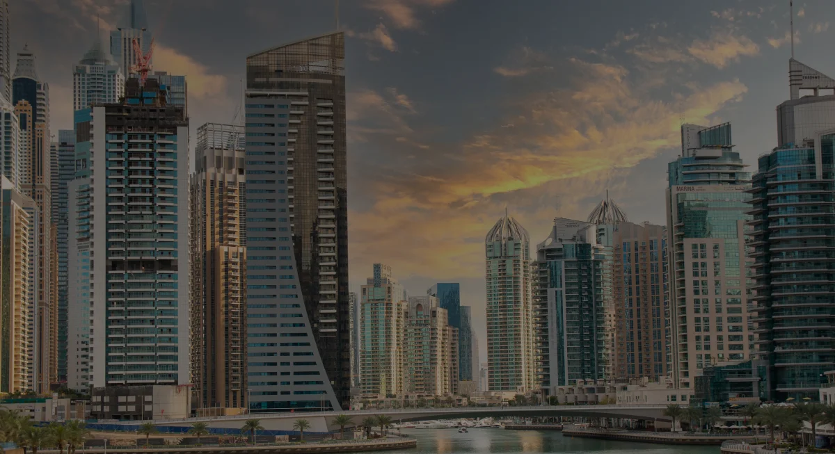 Custom Web Application Development Company in Dubai, UAE